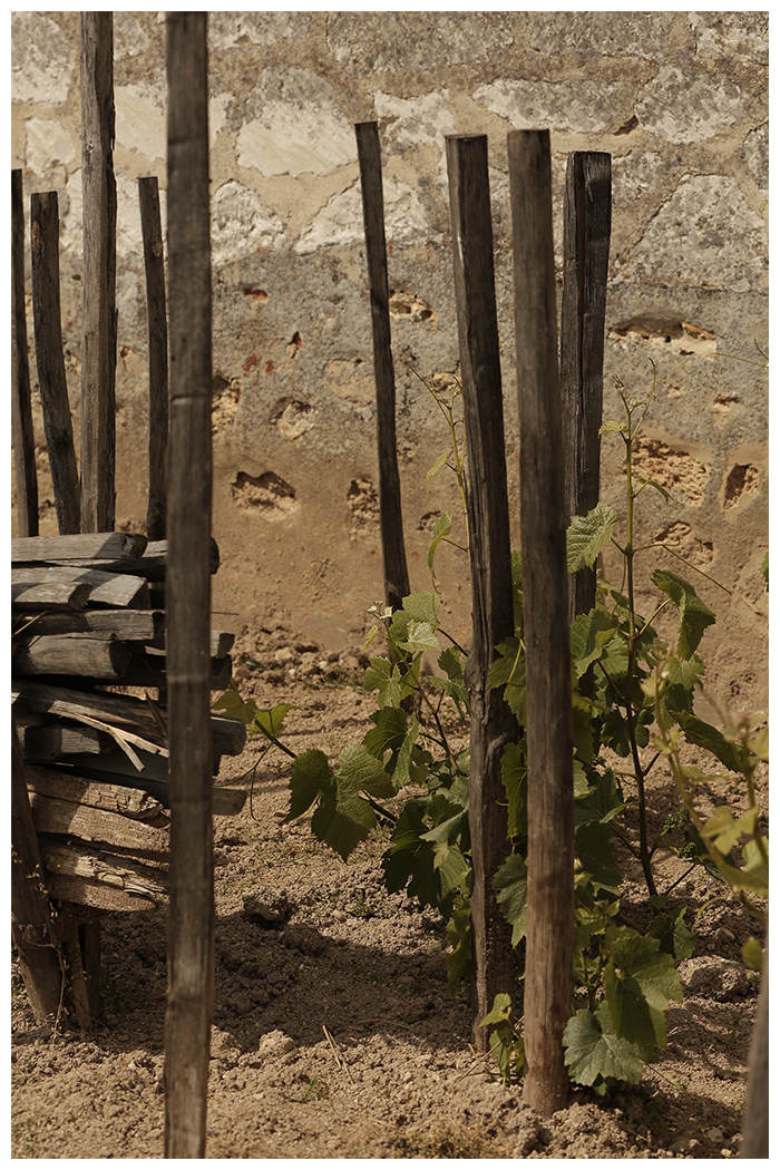 Bollinger AY Juin4448 copie