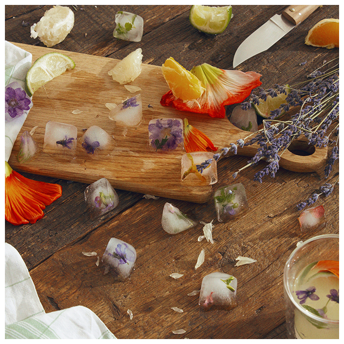 MARQUE AVENUE INSTAGRAM JOUR 207978 copie