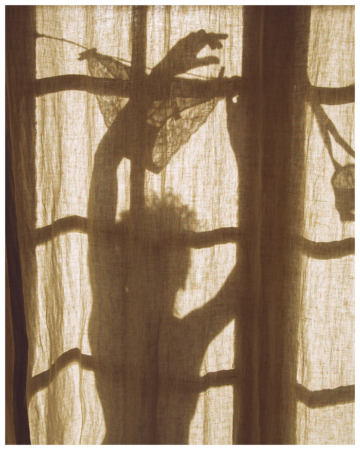 Marques Avenue-IG-colinegascon-150dpi67 copie