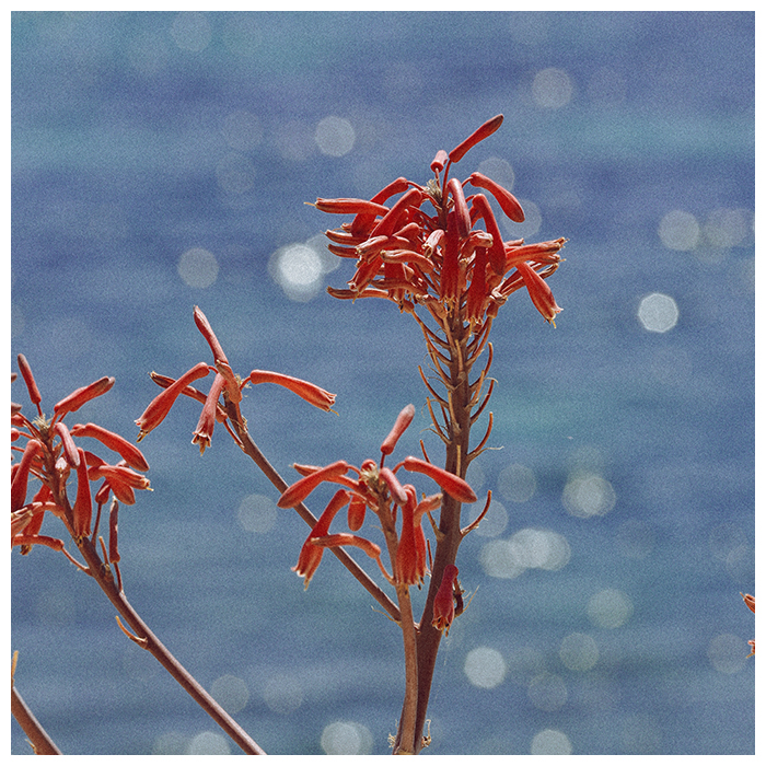 APSARA21_HD_41 copie