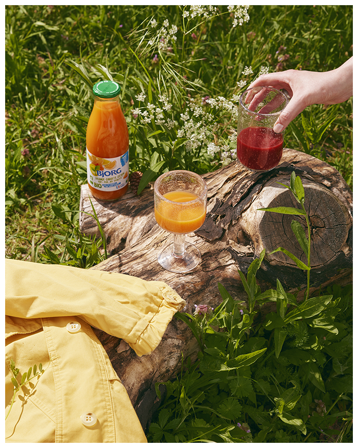 BJORG - STUDIO - 06 copie 11