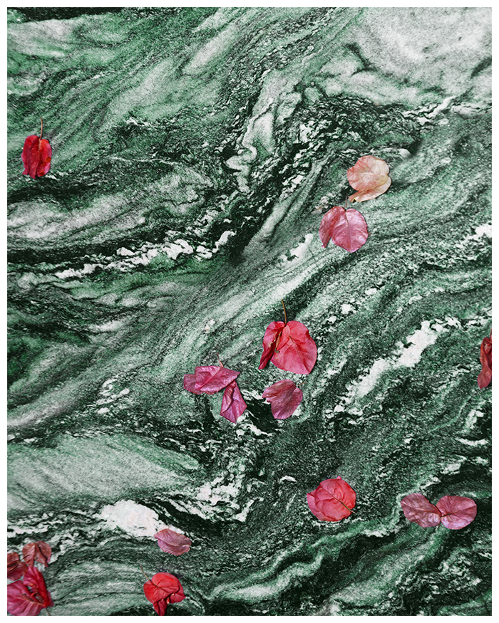 088A0079 copie-bis copie