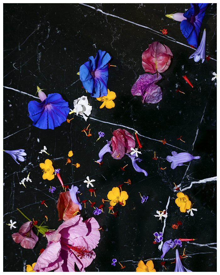 088A0614 copieBIS copie