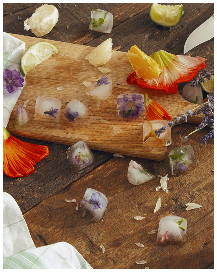 MA HIVER J26363 copie